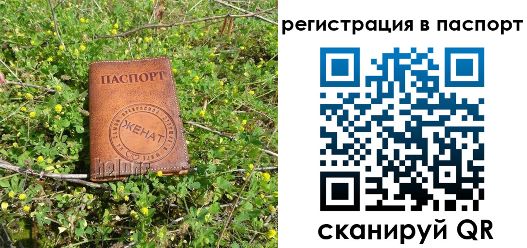 прописка законно в Торопеце